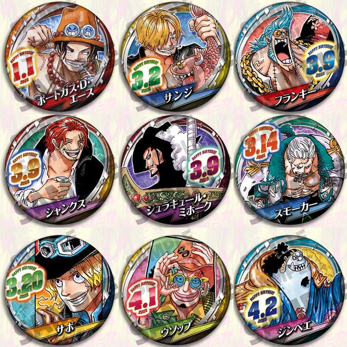 Een Stuk Anime Badge Pin Set 2 - Anime Merchandise In Chinese recensie en prijs