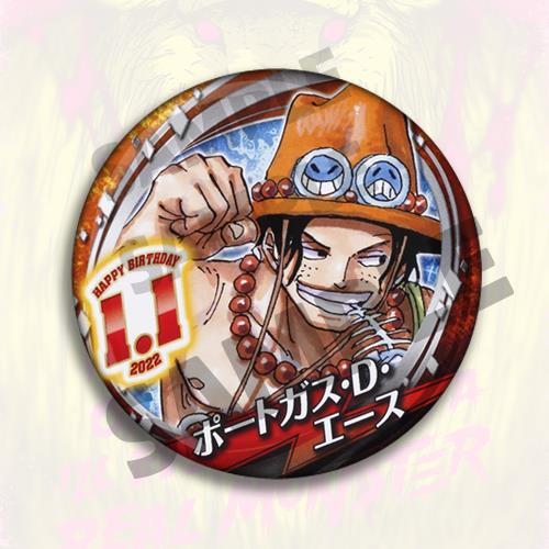 Een Stuk Anime Badge Pin Set 2 - Anime Merchandise In Chinese recensie en prijs